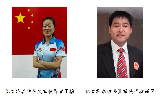 榮譽獎章.jpg